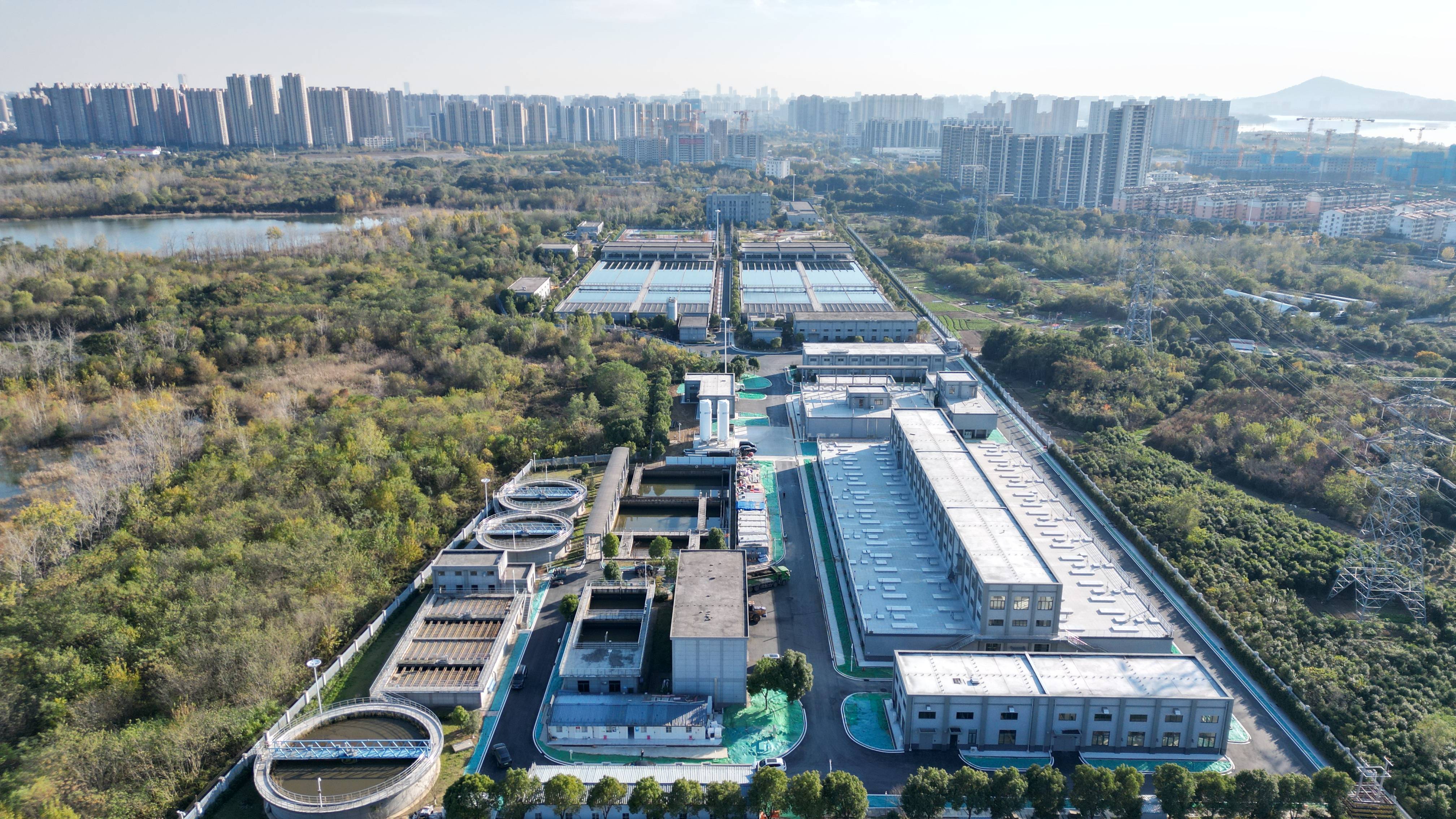 眉山市合肥专业企业价值增长(合肥市重点企业产业目录)