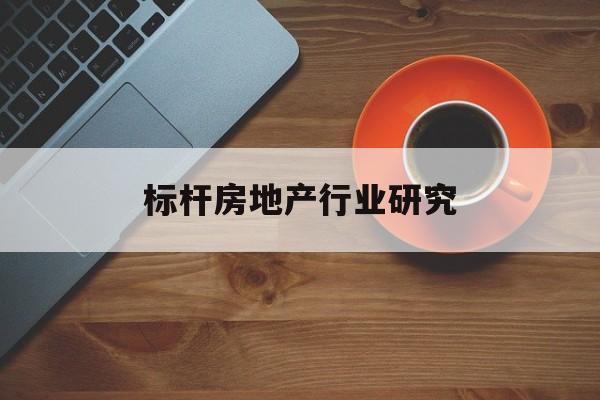眉山市标杆房地产行业研究(房地产领域的标杆人物)