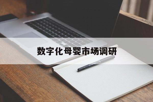 眉山市数字化母婴市场调研(数字化母婴市场调研报告)